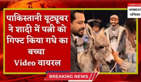 pakistani youtuber gifted a donkey to his wife on their wedding