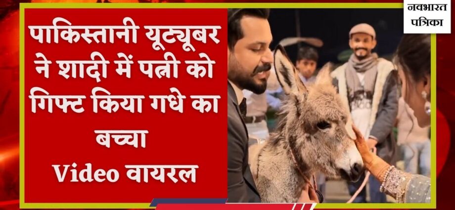 pakistani youtuber gifted a donkey to his wife on their wedding